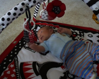 Cole at 1 Month 1.jpg (73755 bytes)