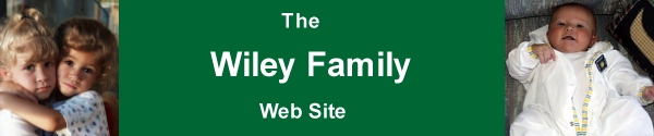 Banner Wiley.jpg (45357 bytes)