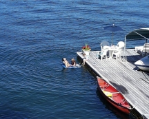 Patin the water2.jpg (42300 bytes)