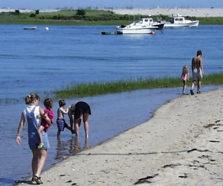 Group beach walk.jpg (72101 bytes)