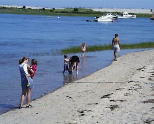 Group beach walk2.jpg (73556 bytes)