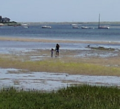 Walking on beach.jpg (37082 bytes)