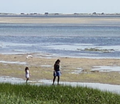 Walking the beach2.jpg (42307 bytes)